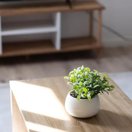 Apartment Me Living - - Hauptallee - Bad Pyrmont
