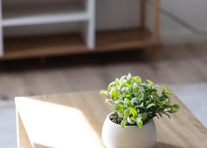 Apartment Me Living - - Hauptallee - Bad Pyrmont